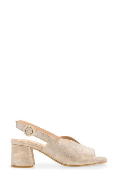 Cordani Pollette Slingback Sandal In Multi