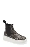 Cordani Preston G2182 Women's Boot Multi Embossed Leather Snake Boot Jobb2041 In Multi