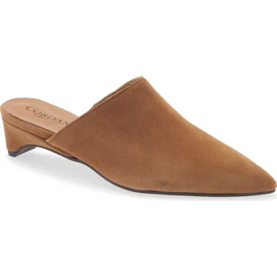 Cordani Rowan Suede Kitten Heel Mule In Multi