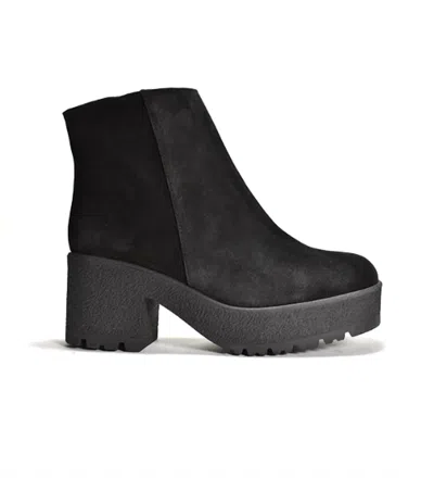 Cordani Suede Bootie In Black