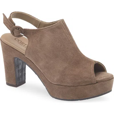Cordani Tess Slingback Platform Sandal In Brown