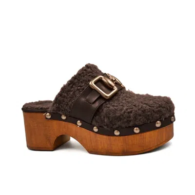 Cordani Winona Clog In Cacao Sheerling In Multi