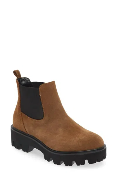 Cordani Women's Alicia Lug Chelsea Boot In Camoscio Cola In Multi