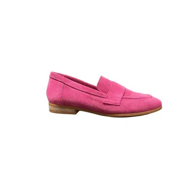 Cordani Women's Ardelle Suede In Fuschia In Pink