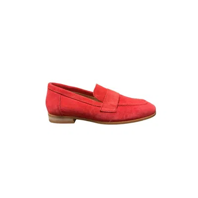 Cordani Women's Ardelle Suede In Red