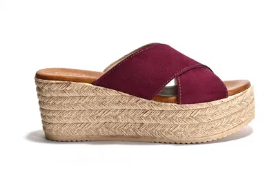 Cordani Women's Bella Espadrille Wedge Sandals In Raspberry Suede