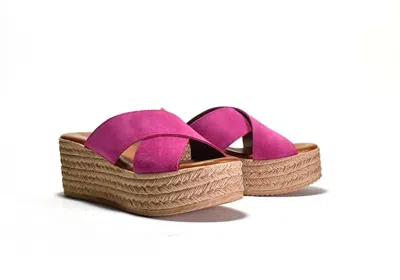 Cordani Women's Bella Sandals In Fuschia Suede In Multi
