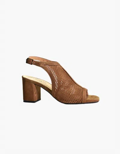 Cordani Women's Illia Ankle Strap Sandals In Cuoio Suede In Multi