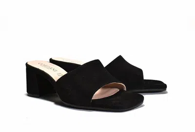 Cordani Women's Irene Slide Sandal In Black