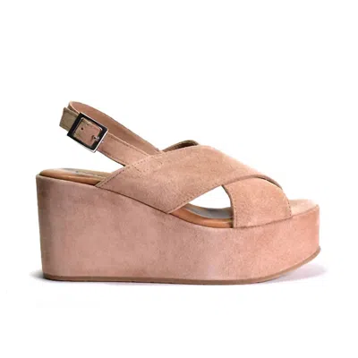 Cordani Women's Joanna Wedge In Coccio In Multi