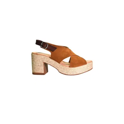 Cordani Women's Marianne Sandal In Clove Suede In Multi