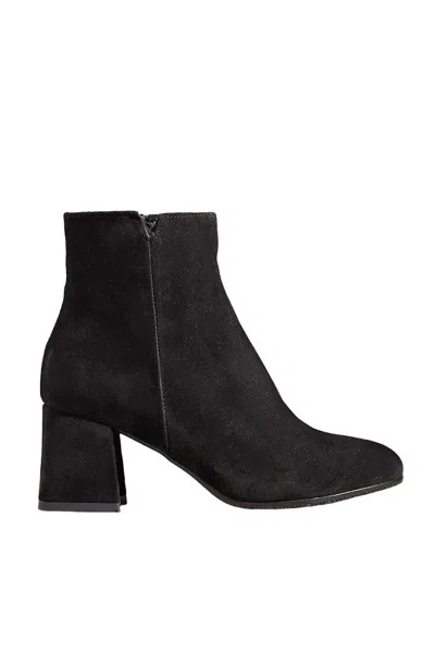 Cordani Women Nahla Ankle Boot In Black