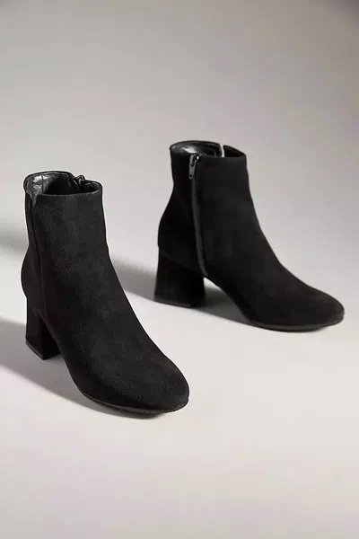 Cordani Women's Nahla Boots In Black Suede