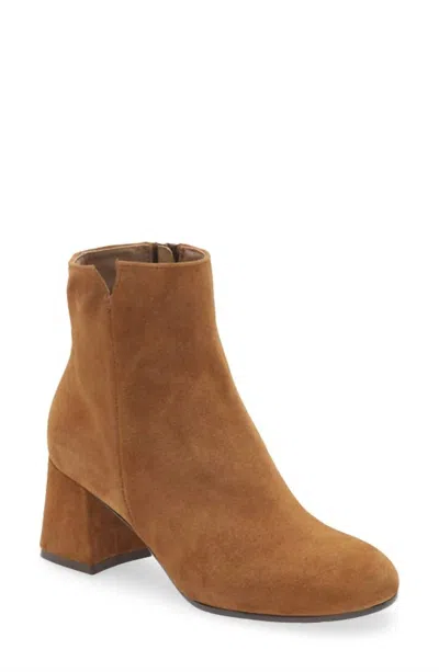 Cordani Women's Nahla Boots In Rum Suede In Multi