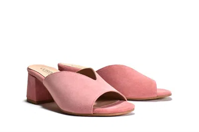 Cordani Women's Pollie Slip On Suede Mule Sandal In Rose Suede In Pink