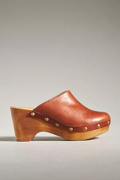 Cordani Zorba Heels In Brown