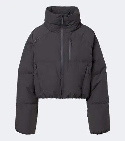 Cordova Cortina Ski Jacket In Gray