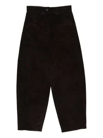 Co Rduroy Pants In Brown