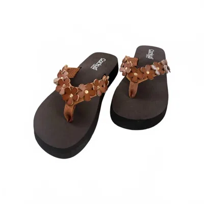 Corkys Footwear No Running Flower Flip Flops In Cognac In Green