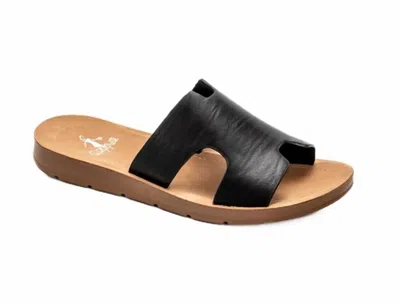 Corkys Footwear Women's Bogalusa Sandals In Black