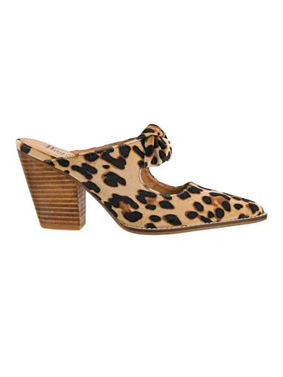Corkys Footwear Women's Knot Gonna Happen Heeled Mule In Leopard Velvet In Brown