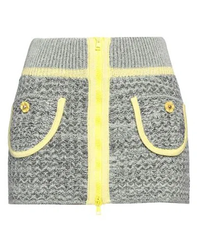 Cormio Knit Mini Skirt With Front Zipper In Multi