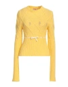 Cormio Oma 5 Embroidered Wool Blend Sweater In Yellow