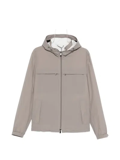 Corneliani Hooded Zip Jacket In Neutral