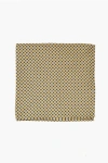 Corneliani Patterned Silk Pocket Square In Multi