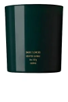 Corpus Dark Flowers Soy Wax Candle In N,a