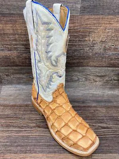 Pre-owned Corral A4050 Men's Pirarucu Fish Skin Square Toe Western Boot By  In Brown