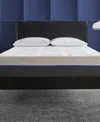 Corsicana Early Bird 10" Firm Mattress In No Color