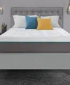Corsicana Early Bird 10" Medium Mattress In Transparent