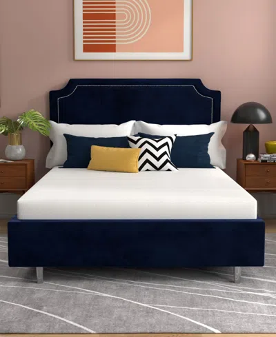 Corsicana Early Bird 6" Medium Mattress In A Box In Transparent