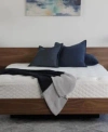 Corsicana Luuf 12 Medium Mattress Collection In No Color