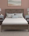 Corsicana Sleep Inc. 6" Plush Mattress