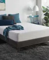 Corsicana Sleep Inc. 6" Plush Mattress In No Color