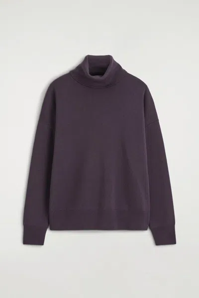 Cos Merino Wool Roll-neck Sweater In Purple