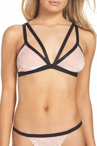 Cosabella Bisou Texture Bralette In Mandorla In Multi