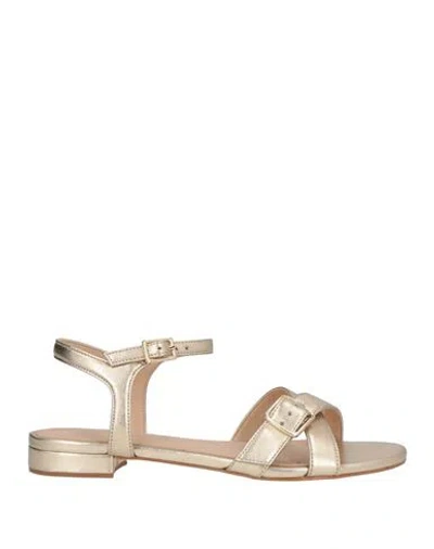 Cosmoparis Woman Sandals Platinum Size 6 Synthetic Material In Grey