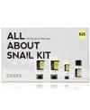 Cosrx 4-pc. All About Snail Set