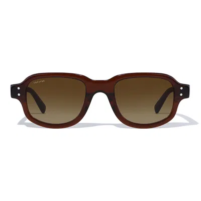 Cossino Men's Belize Tres Brown Acetate Sunglasses