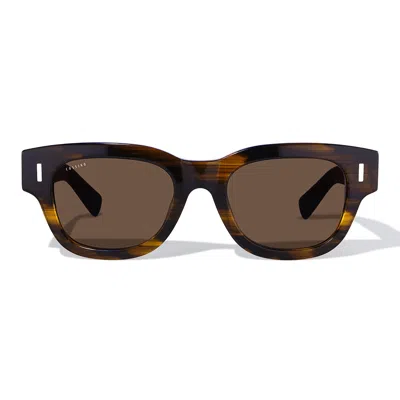Cossino Women's Monaco Viola Acetate Sunglasses In Brown
