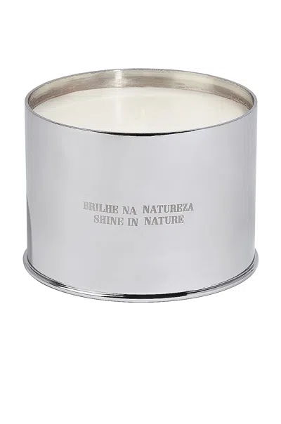 Costa Brazil Vela Jungle Candle In Gray