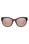 Costa Del Mar Coasta Del Mar Maya 55mm Polarized Cat Eye Sunglasses In Shiny Urchin/copper Polarized