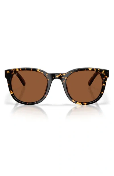 Costa Del Mar Middles 51mm Gradient Polarized Round Sunglasses In Brown