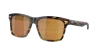 Costa Man Sunglass 6s2005 Aransas In Brown