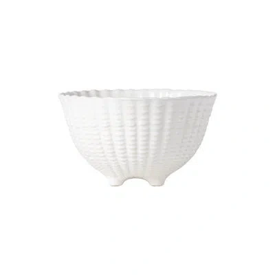 Costa Nova Aparte 52.13oz. Dining Bowl In White
