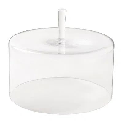 Costa Nova Coupole 11.75" Glass Dome, Clear
