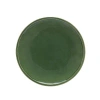 Costa Nova Dinner Plate In Forest Green